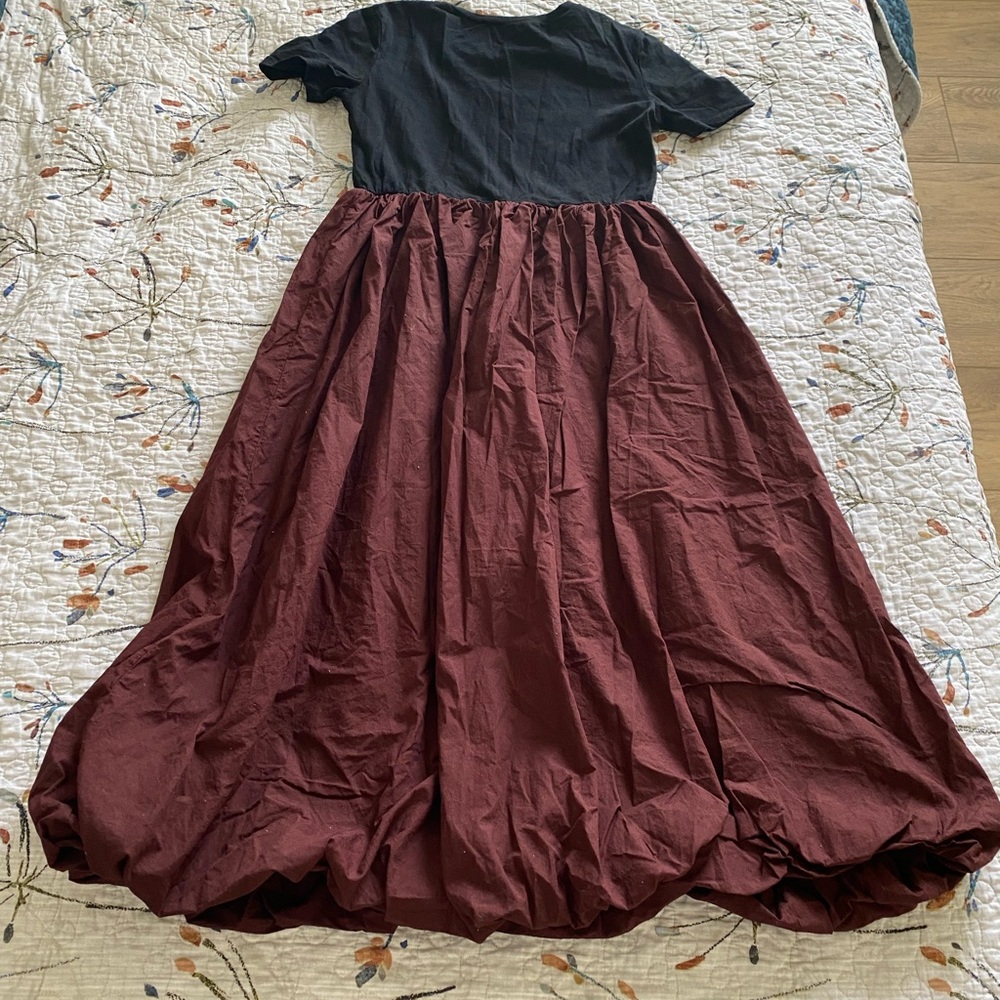 Zara Black and Burgundy Maxi Dress